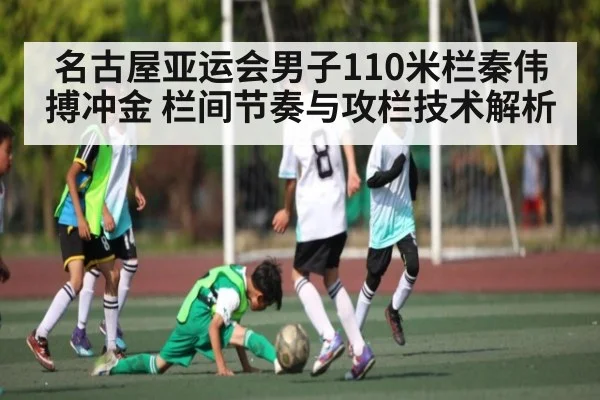 名古屋亚运会男子110米栏秦伟搏冲金 栏间节奏与攻栏技术解析 - kaiyun